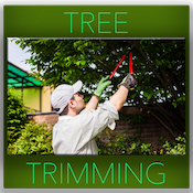 Tree Trimming - Virginia Beach Tree Service